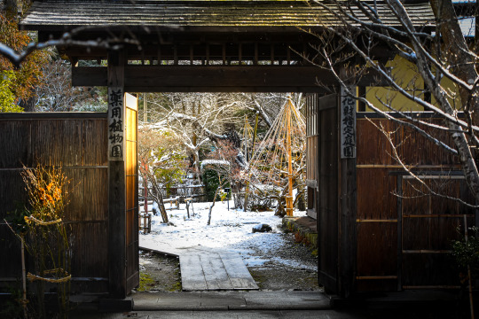 city-cost:Any Japanese garden fans out there?  This one is a beauty.This is Oyakuen