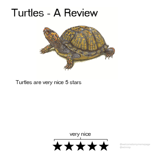 Animal Reviews!