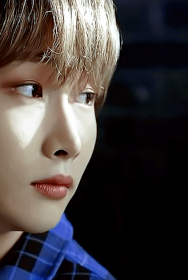 HAPPY HOYOUNG DAY | 240810