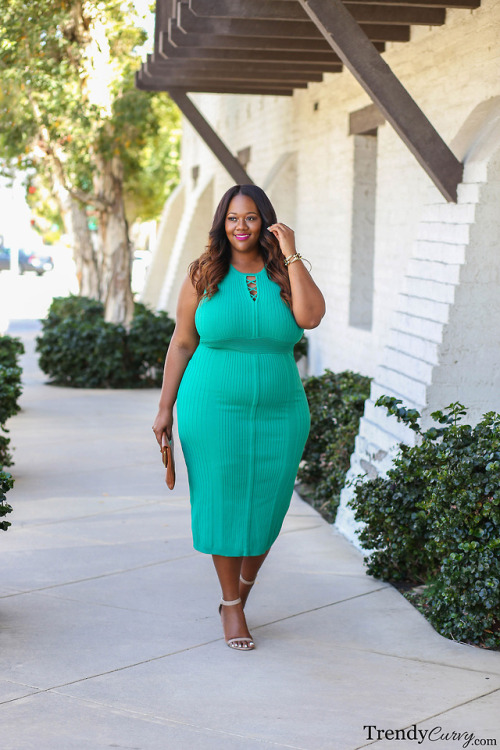 Simply StyledOutfit details on TrendyCurvy.comPhotographer: Steve Suavemente