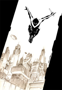 gothamart:  Nightwing by Cinar