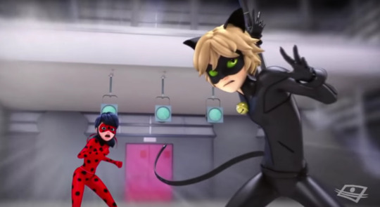 Chat Noir was not fucking around today