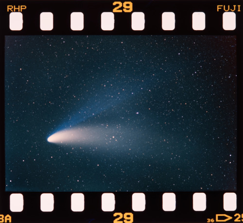 thespace-alien: “Hale-Bopp: The Great Comet of 1997” Is the NASA Astronomy Picture of the Day of tod