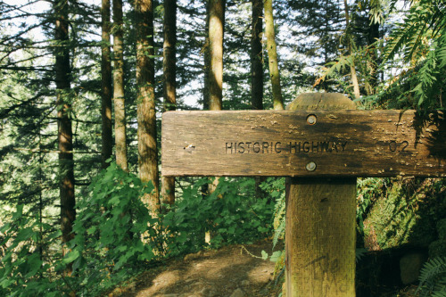 thenorthwestexplorer:  Sunlight on the Trail Location: Horsetail Falls Trail, Columbia River Gorge, OR Date: April 29th, 2014 