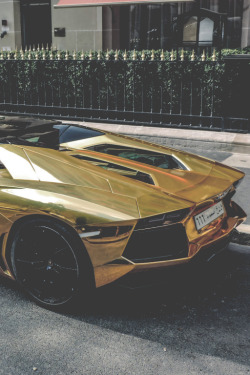 politsei:  Roadster | more