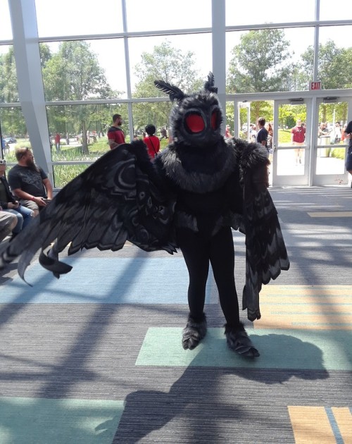 coughsyrup-cosmonaut:Mothman was spotted terrorizing cosplayers at a convention this weekend, more o