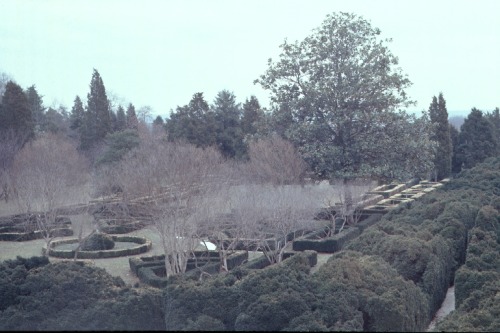 Boxwood Garden, Gunston Hall Plantation, Fairfax County, Ole Virginny, early spring 1972.