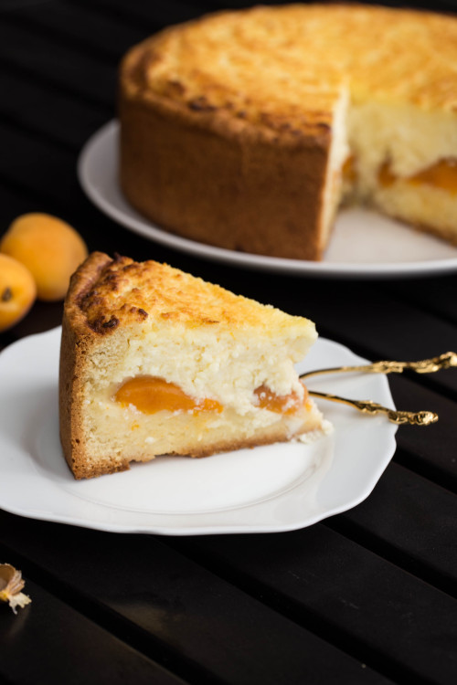 fattributes:Apricot Farmer’s Cheese Cake