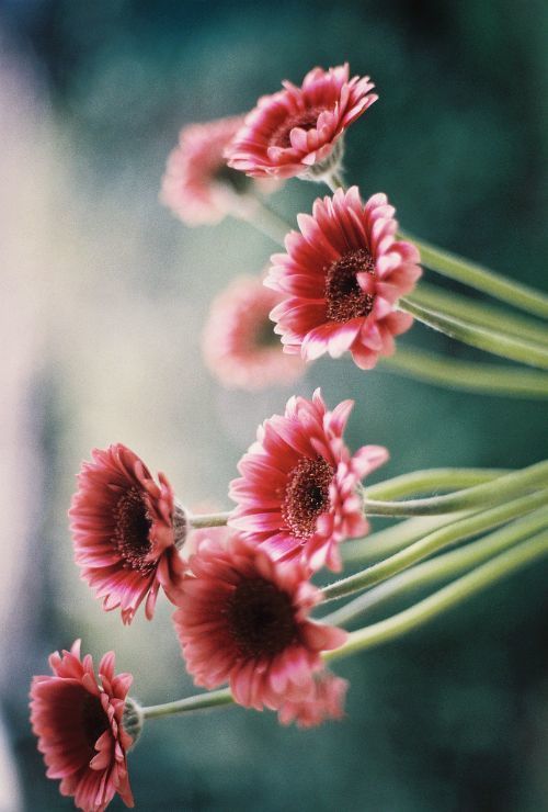 ribbonsentwined:  Pin by Luci on Positivo | Pinterest on We Heart It. 