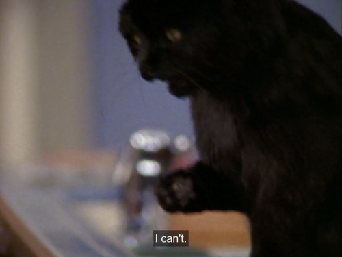 Sabrina, the Teenage Witch (1997)