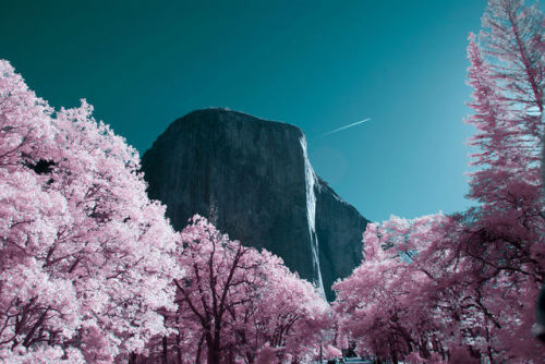 flowartstation:Infrared Photographs of a Surreal Yosemite by Ryan Berg
