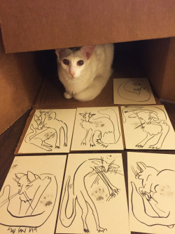pangur-and-grim:Khajit has wares, if you have coin