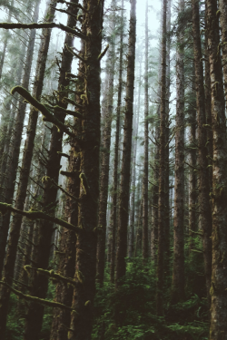 earth-dream:  Untitled | Photographer