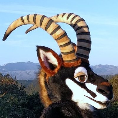 fursuitpursuits:RT @SableHooves: Love my ‘bou crew! https://t.co/XaYKHOJf35 (Source)
