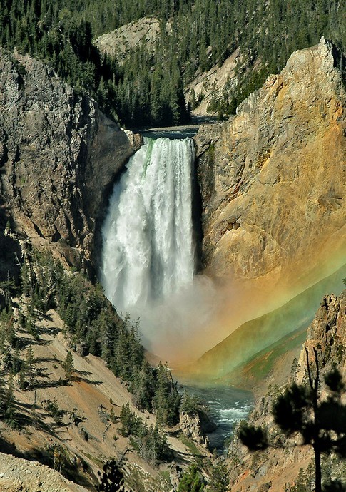 Lower Falls of the Yellowstone (Yellowstone NP, Wyoming) by msfwatson@rogers.com on Flickr.
Lower Yellowstone Falls tumbles 94 m (twice the height of Niagara Falls) into the Grand Canyon of the Yellowstone River.