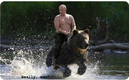 simplyvladimir:  Don’t joke with Vladimir Vladimirovich!