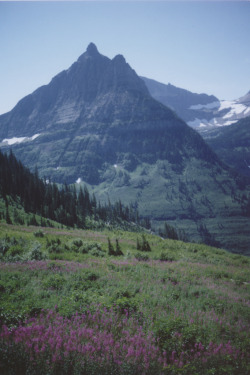tearingdowndoors:  Untitled || Missy Prince 