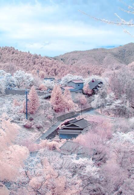 stability:  Cherry blossoms in full bloom. Mount Yoshino, Nara, Japan. [Via/More]