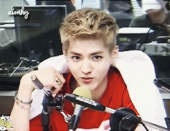  Q : Would you rather live like a king or an EXO member?  - Members who chose