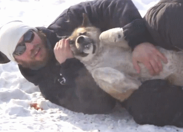 matthulksmash:  Tom must be really bad with raising animals, because it’s a different dog in each picture. 