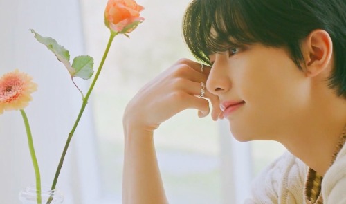 Sorry, I Love You | Hyunjin