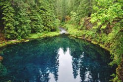 lochjness:  Tamolitch Blue Pool, Oregon 