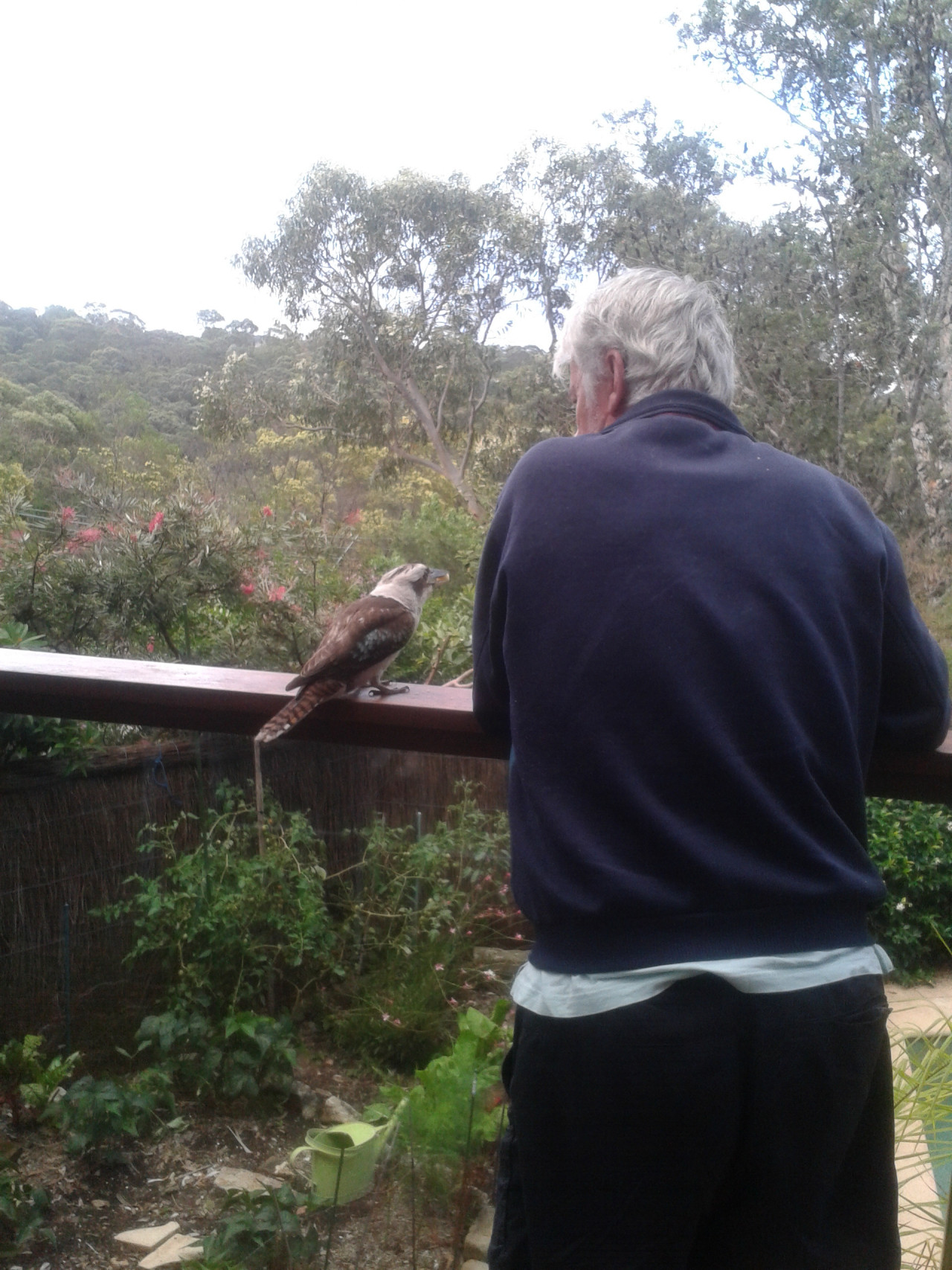 awwww-cute:My dad made a new friend the other day