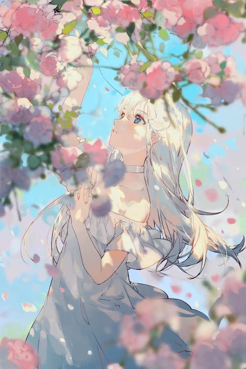 animefemme:Spring [CiloRanko]