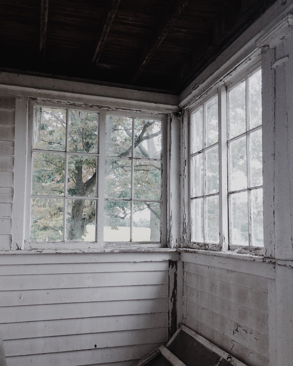 kellyelainesmith:  A day of exploring is a day well-spent. nj, september 2015. kelly
