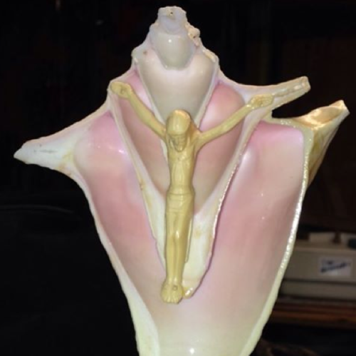 Jesus in de vagina schelp.