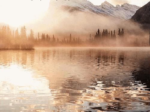 world-of-yana: