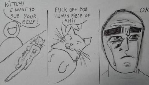 Cats Are Abusive Lovers.. #catsareassholes #memes #jokes