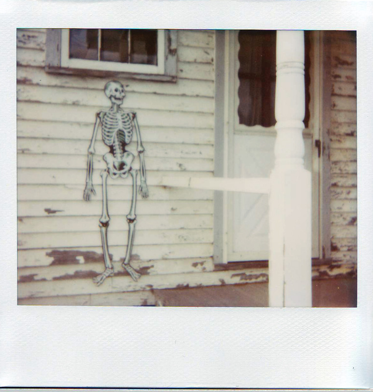 Pumpkinrot.com