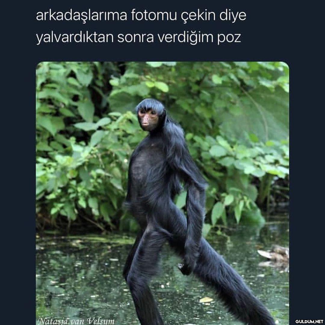 arkadaşlarıma fotomu çekin...