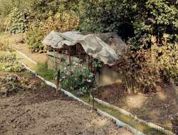 umbrellavein:  Simone NiewegCompost Heap, Schlosshof Street Colony, Bielefeld1987