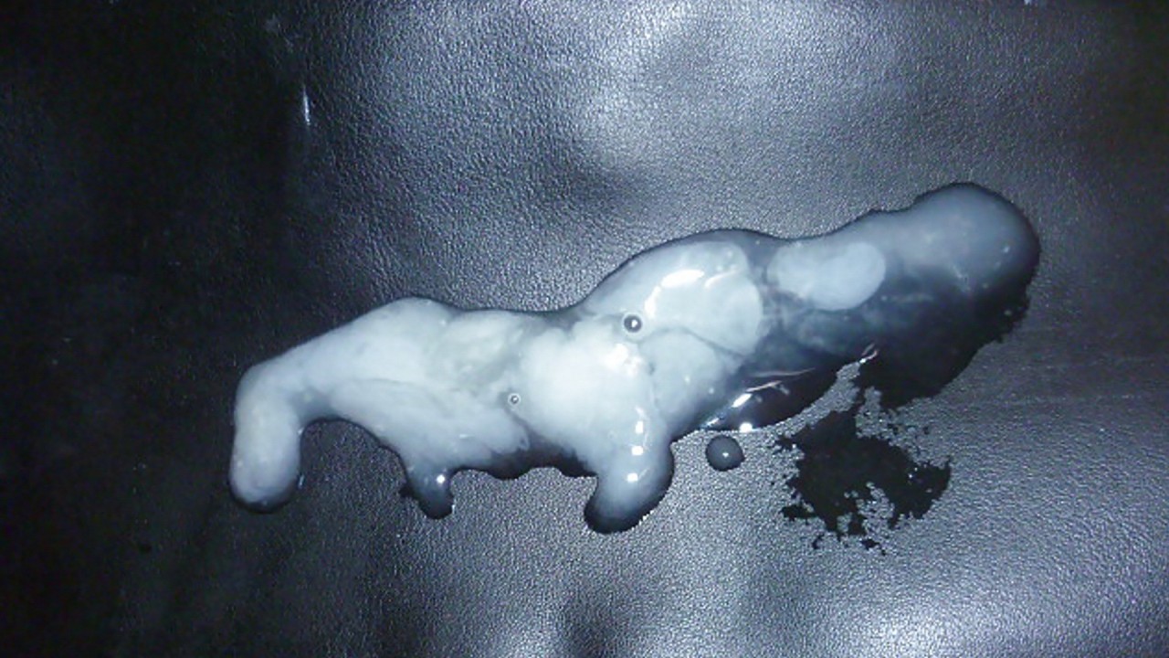 jockpig19:  massivelyzealousshooter:  howbig8:What a beautiful collection of cum