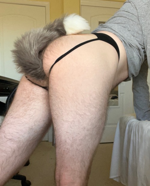Woof Woof? :3