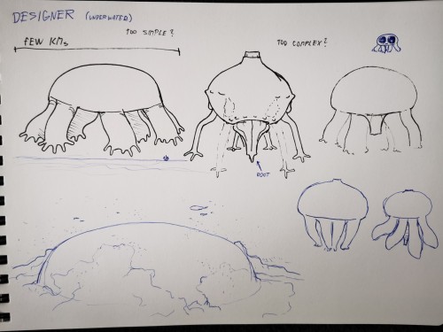 Some Sketches