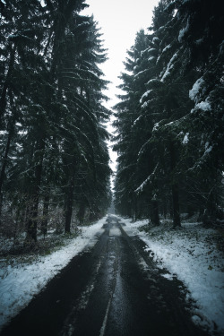 moody-nature:Winter woods | By johannes_bahr