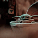 clonesdeservelovetoo:MYHEARTBELONGS TO YOUBABY YODA