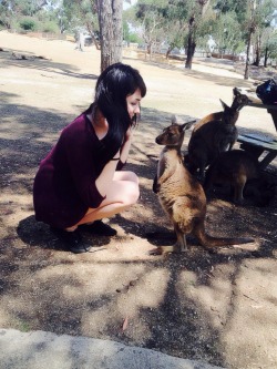 aliciaaadani:  If you’ve never met a kangaroo