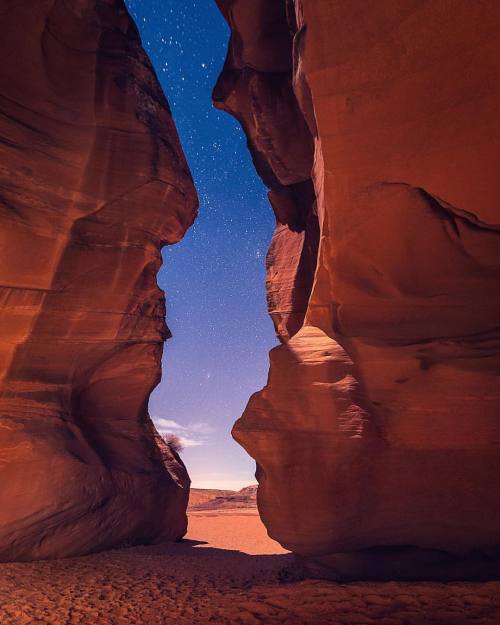 tobyharrimanphotography - Antelope (at Upper Antelope Canyon)