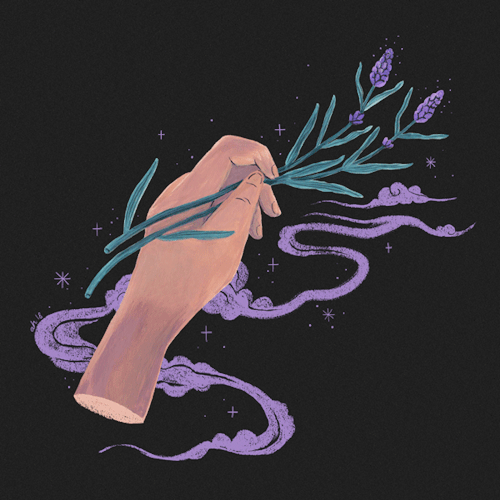 amandaherzman: gemini - lavender5th of my herbal hand series - astrological signs and their correspo