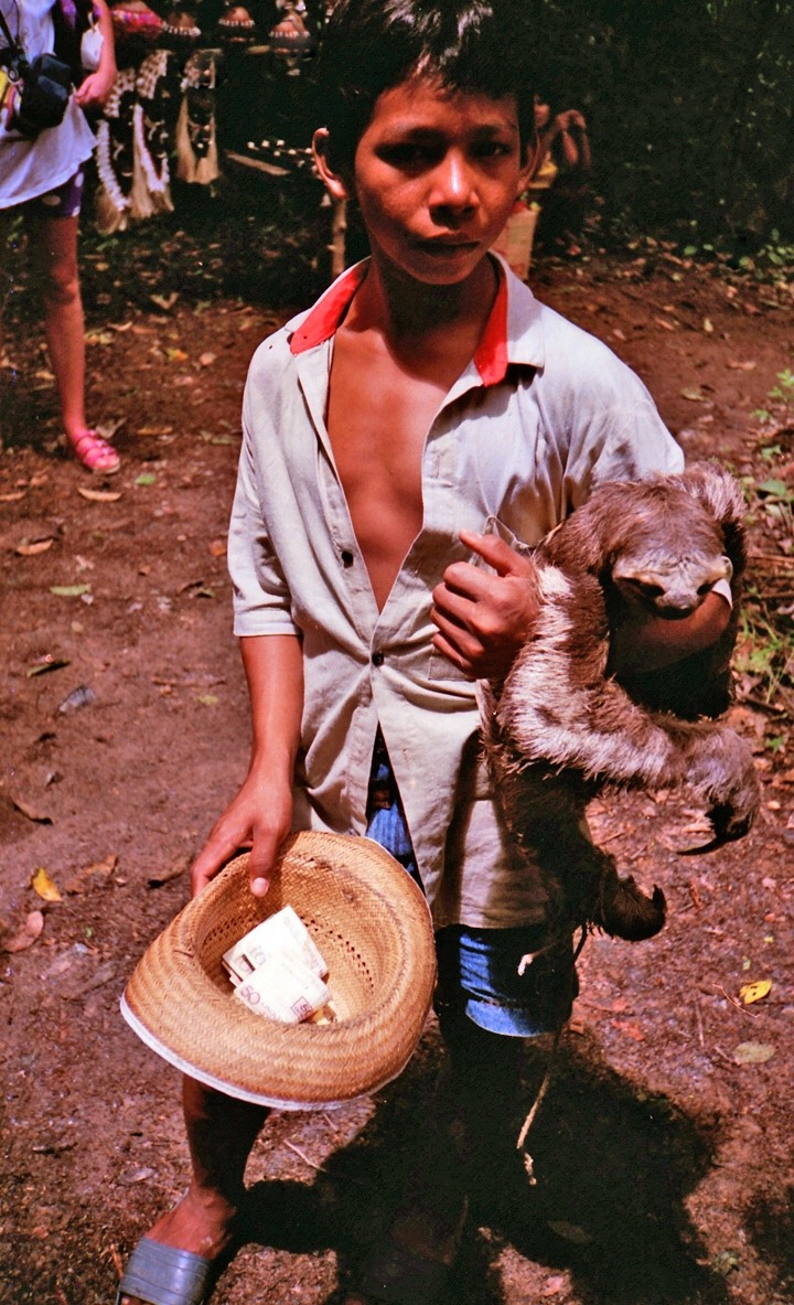 rhythmicdogsharmonicdogs:  rio negro, brazil