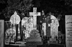 gardenofthesilent: Burra Cemetery, South Australia.