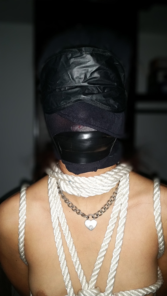 masterra89:  My slave with a body harness and my favourite gag. Stuffed panties down