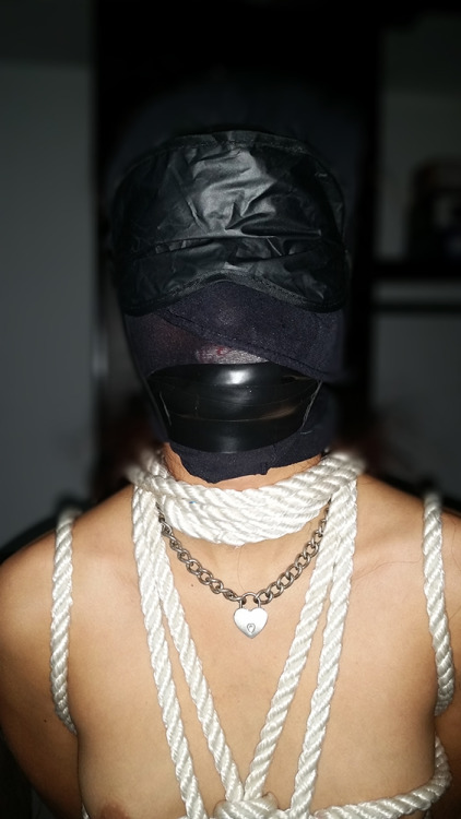 masterra89:  My slave with a body harness porn pictures