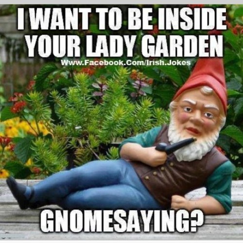 I stay creepin. It’s a vibe. @e_larrea #creeplife #creepinwhileyousleepin #gnome #garden #getlikeme