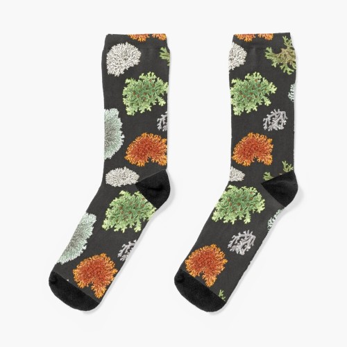 I made my lichens into a pattern and put them on a bunch of things on redbubble! I can add/adjust sp