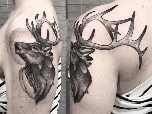 Thank you so much Kelly! #elk #elktattoo #yukonwildlife #exploreyukon #stagoftheday (at Passage Tatt